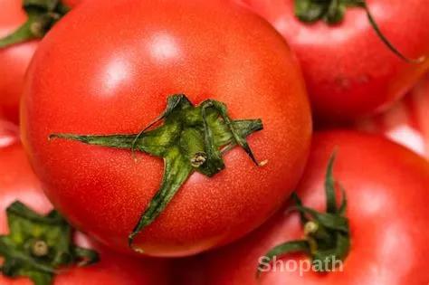 Tomato (Tamatar) - 1